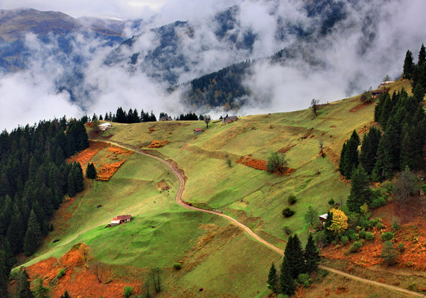 Son Dakika Trabzon Haberleri Oku
