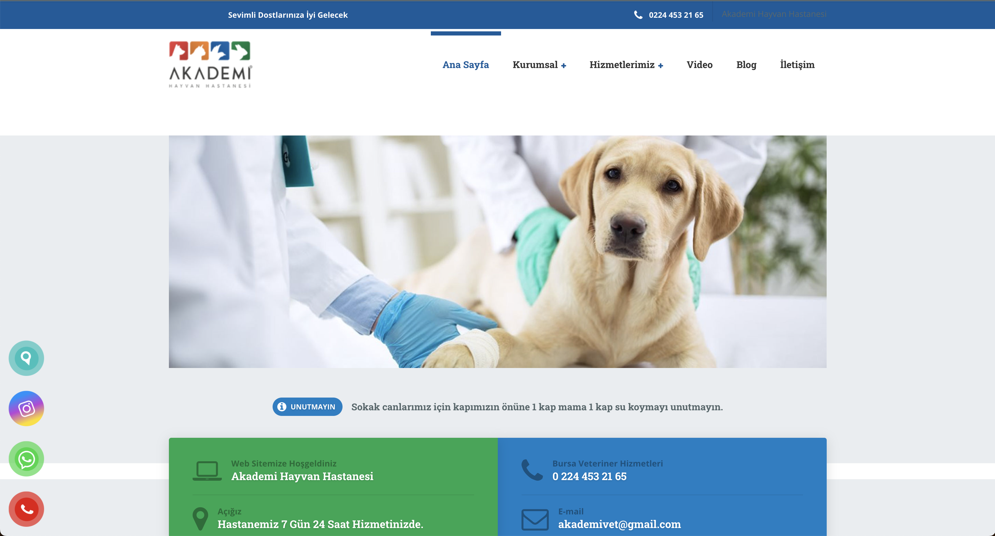 Bursa Veteriner Akademi Hayvan Hastanesi: Profesyonellik ve Sevgi İle Dolu Bir Hizmet
