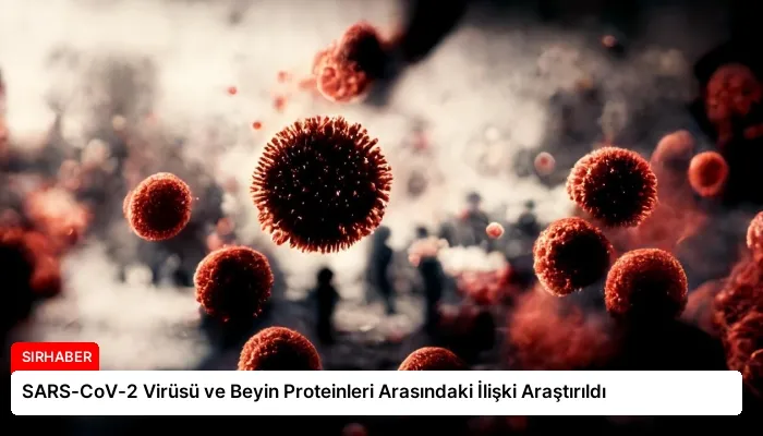 SARS-CoV-2 Virüsü ve Beyin Proteinleri Arasındaki İlişki Araştırıldı