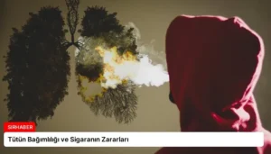 Tütün Bağımlılığı ve Sigaranın Zararları