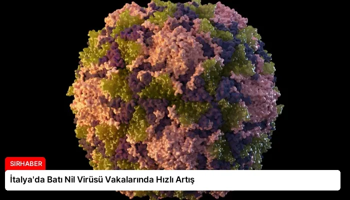İtalya’da Batı Nil Virüsü Vakalarında Hızlı Artış
