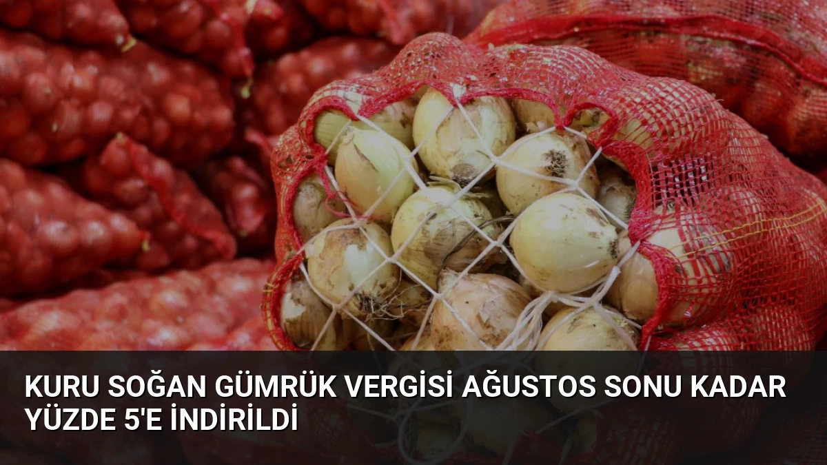 Kuru Soğan Gümrük Vergisi Ağustos Sonu Kadar Yüzde 5’e İndirildi