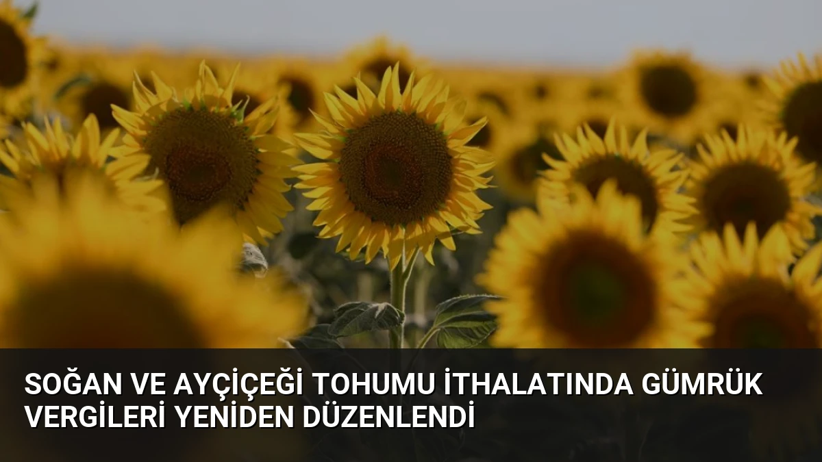 Soğan ve Ayçiçeği Tohumu İthalatında Gümrük Vergileri Yeniden Düzenlendi