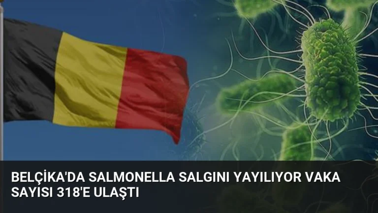 Belçika’da Salmonella Salgını Yayılıyor Vaka Sayısı 318’e Ulaştı