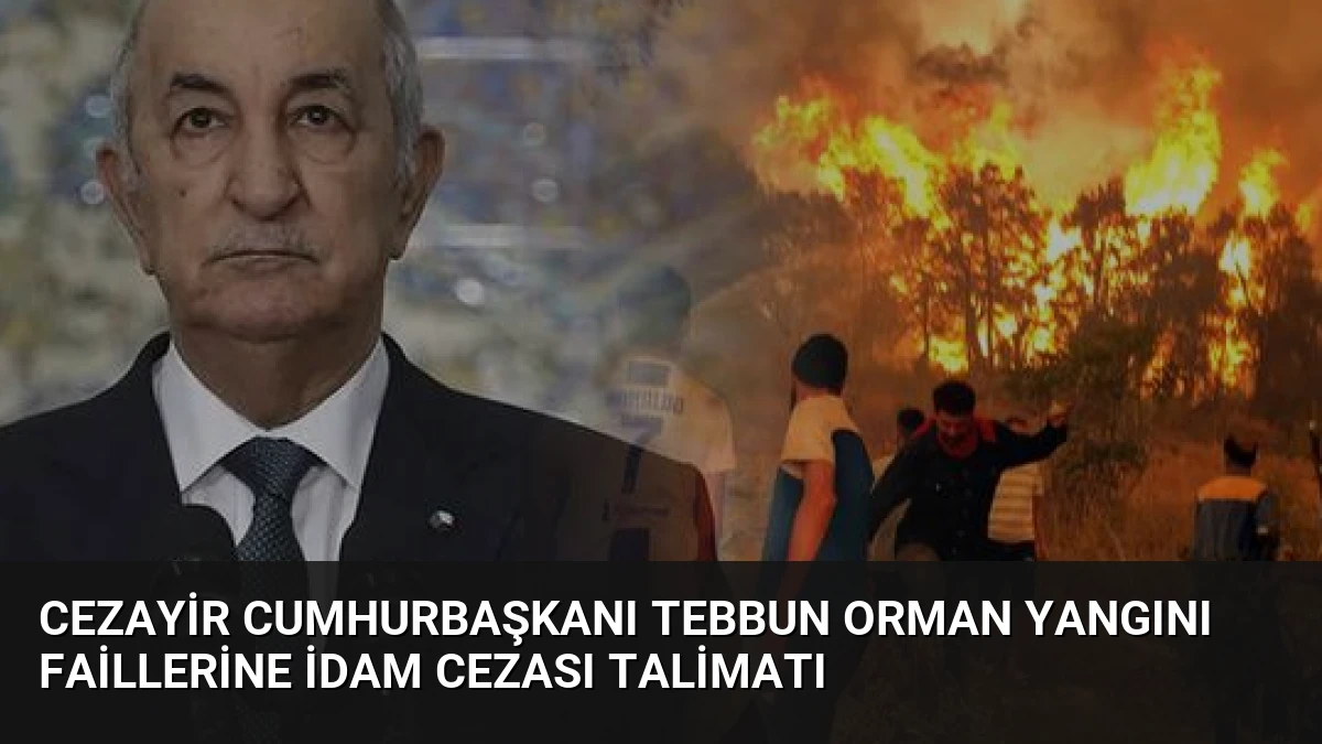 Cezayir Cumhurbaşkanı Tebbun orman yangını faillerine idam cezası talimatı