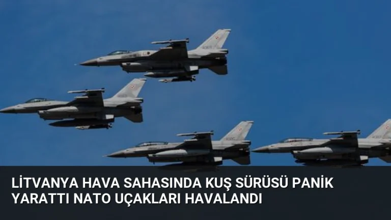 Litvanya Hava Sahasında Kuş Sürüsü Panik Yarattı NATO Uçakları Havalandı