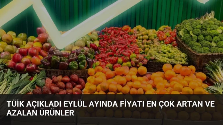 TÜİK Açıkladı Eylül Ayında Fiyatı En Çok Artan ve Azalan Ürünler